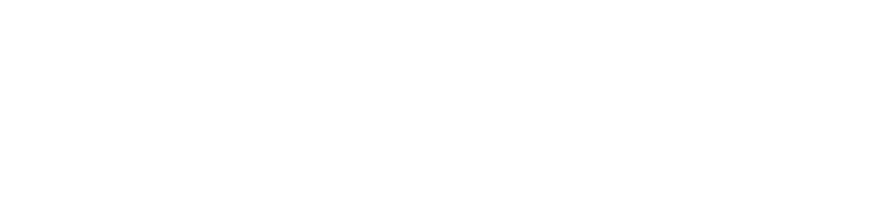 Vizzle Logo